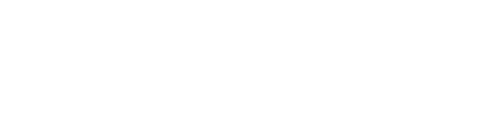 Denys Kyrychenko Logo - ERP Business & IT-Manager.